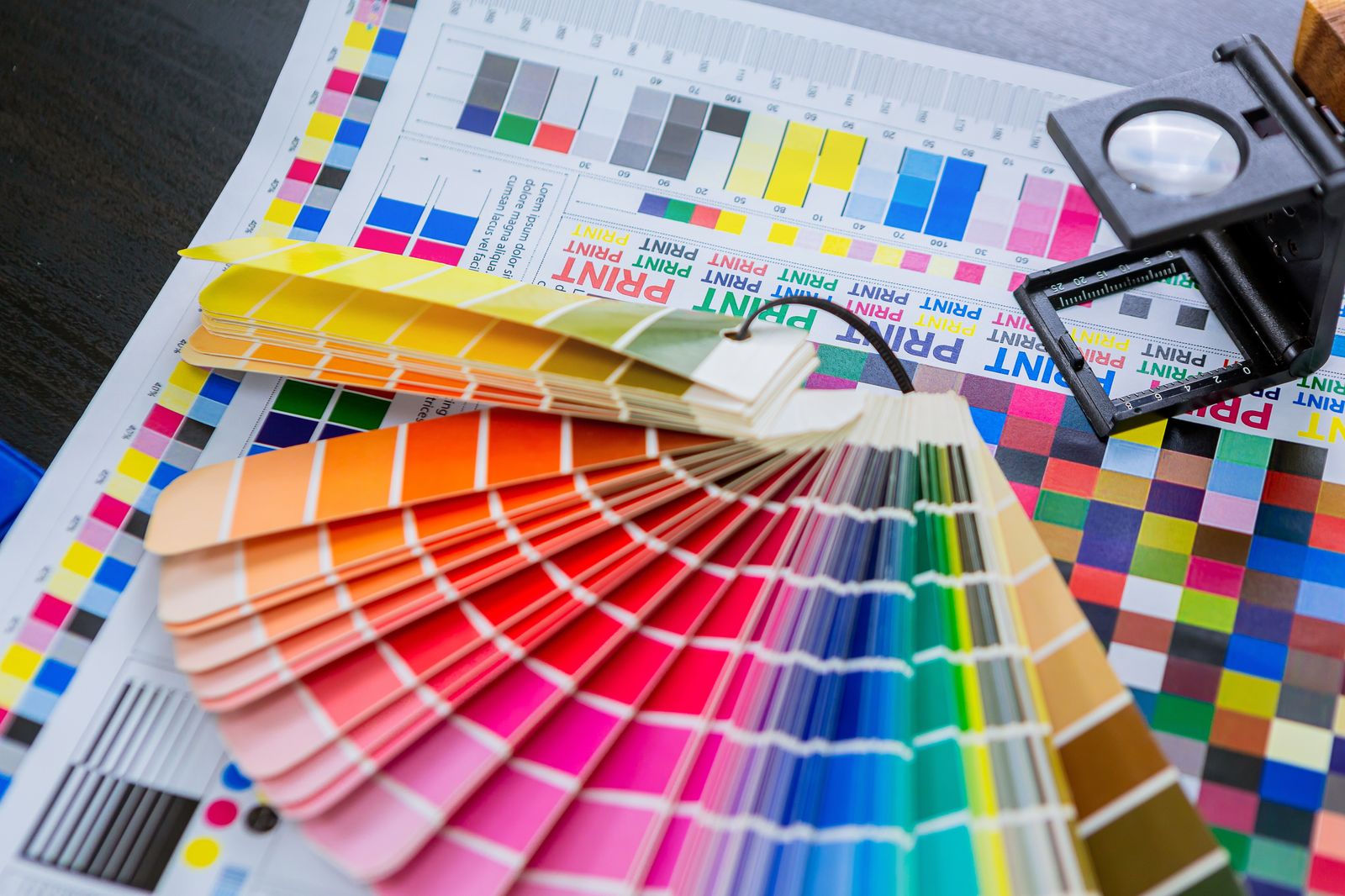 Checking a color proof against a Pantone swatch at The R Frank Printing Company